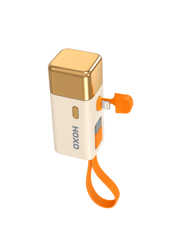 Mini Powerbank 5000 mAh - 22.5W Snellader met Ingebouwde kabel USB C - Geschikt voor Lightning - Oplader voor Smartphone, Oortjes & Tablets - Noodpakket